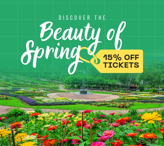 Promo Banner 1 Promo Banner 1