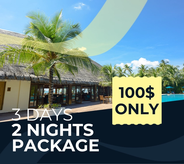 Promo Banner 4 Promo Banner 4